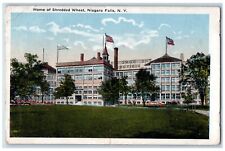 1917 Home Shredded Wheat Exterior Building Field Niagara Falls New York Postcard picture