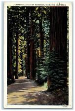 1939 Cathedral Aisles Of Redwood Dirt Road Big Basin California Vintage Postcard picture