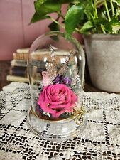Natural Expressions A Real Freeze Dried Rose Display picture