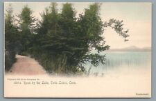 Road by the Lake, Twin Lakes, Conn. CT Hand Colored Vintage Postcard c1905 picture