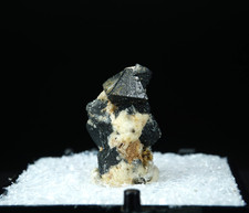 Perovskite on Magnetite / Perovskite Hill, Arkansas / Rare Thumbnail Mineral Cry picture