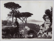 Italy, Island of Capri, ca.1880, vintage print vintage print, legend print picture