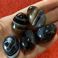  Natural black carnelian quartz egg hand-polished specimen reiki healing 5PC picture