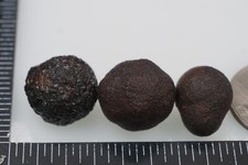 Tibetan Trifecta - 28g - Pyrite Concretion (Highest Plateau Shaman) #bhx18 picture