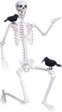 6Ft Life Size Skeleton Posable Skeleton with Movable Joints Halloween Full Body picture