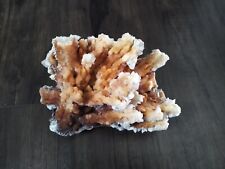 AMAZING QUARTZ CORAL FORMATION IN GEODE ROCKS MINERALS 4lbs+ picture