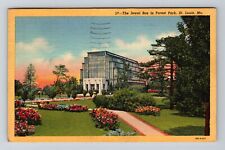 St. Louis MO-Missouri, The Jewel Box in Forest Park, Vintage Postcard picture