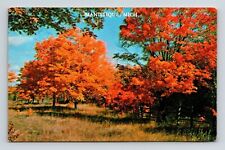 Manistique Michigan MI Fall Colors Dame Nature Postcard 9c Stamp VTG Koppel picture