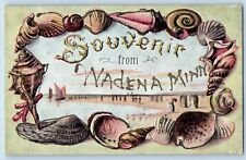 Wadena Minnesota Postcard Souvenir Seashell Embossed Glitter Beach 1910 Vintage picture