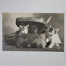 Adorable Kittens Cats Peek From Basket c1905 Rotograph Real Photo Postcard picture