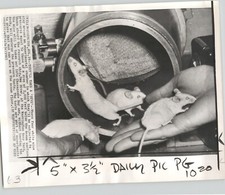 Experimental Chamber MICE for SEA LAB RESEARCH Vintage 1963 Press Photo picture