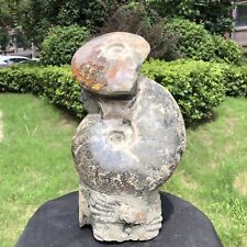 13.86LB  Natural Beautiful Ammonite Fossil Conch Crystal Specimen Healing picture