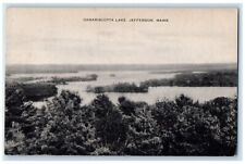 1946 Aerial View Damariscotta Lake Trees Jefferson Maine Posted Vintage Postcard picture