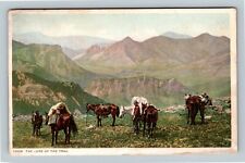 The Lure The Trail, Horses On The Trail, Vintage Postcard picture