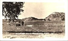 RUSHFORD, MN HILLS antique real photo postcard rppc MINNESOTA HILL COUNTRY 1940s picture