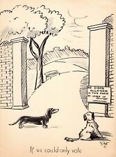 Vintage Dachshund Humor Print 1930s Zito Dachshund Illustration Art 5472v picture