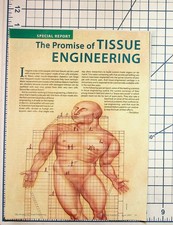 1999 Scientific American Tissue Engineering Growing Organs Magazine Article picture