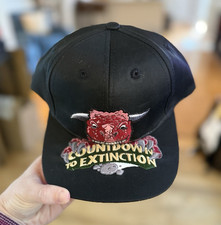 RARE Walt Disney World Youth "Countdown to Extinction Ride" Hat picture