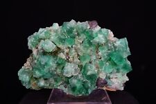 Fluorite & Galena / Florescent Mineral Specimen / Rogerley Mine, England, UK picture