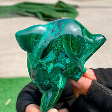 308G Natural glossy Malachite Crystal  Handcarved dolphin mineral sample healing picture