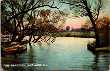 Vintage C. 1906 The Narrows Beautiful Nature Scene Lakewood New Jersey Postcard picture