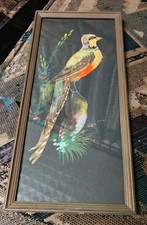 Vintage Mexican BIRD FEATHER FOLK ART Picture Wooden Frame Glass 7"x15" picture