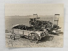 Dead Crows Farm Wagons Pest Control Crop Protection S America 1930s Press Photo picture