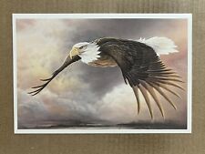 Postcard American Bald Eagle Patriotic Art Majestic Bird picture