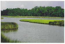 Davis Bayou MS Postcard Mississippi Coastal Preserves Ecosystems picture