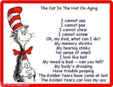 The Cat In The Hat On Aging Refrigerator Magnet picture