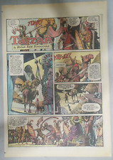 (43/52) Tarzan Sunday Pages  by Russ Manning from 1974 All Tabloid Page Size picture