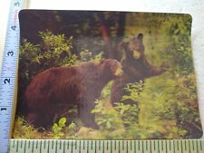 Postcard 3-Dimensional Card Brown Bears America's National Park picture