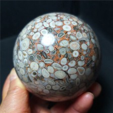 TOP 529G Natural Polishing Ocean Jasper Ecology Agate Ball Healing CA860 picture
