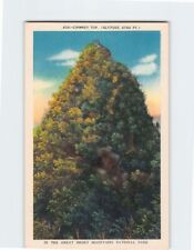 Postcard Chimney Top Great Smoky Mountains National Park Tennessee USA picture