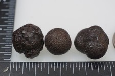Tibetan Trifecta - 32g - Pyrite Concretion (Highest Plateau Shaman) #bhx25 picture