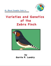 Varieties & Genetic of Zebra Finches A genetics book made EASY NEW GLOSSY PAGES picture