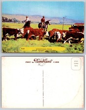 Gene Autry Oklahoma Cowboys Cattle Ranch Postcard PB438-T picture