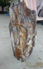 Beautiful 90lb. petrified/opalized/mineralized/agateized wood log  picture