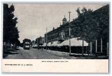 c1905 Main Street View Trolley North East Pennsylvania PA Antique Postcard picture